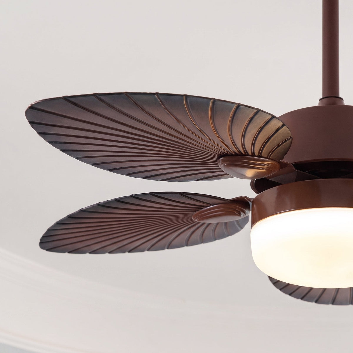 Light that flatters