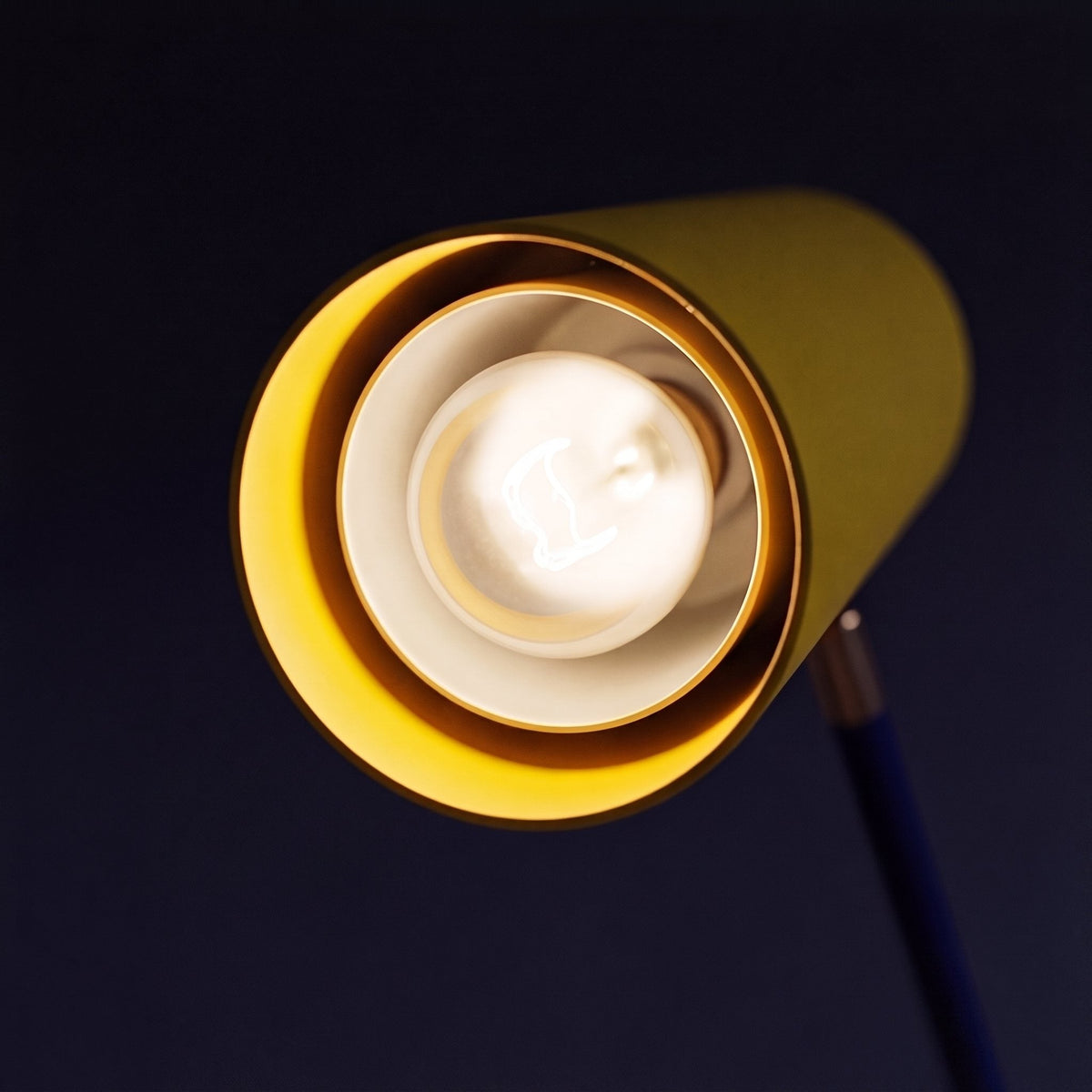 Primary Colour Floor Lamp with Aluminium Shade COB LED Warm Light Telescopic